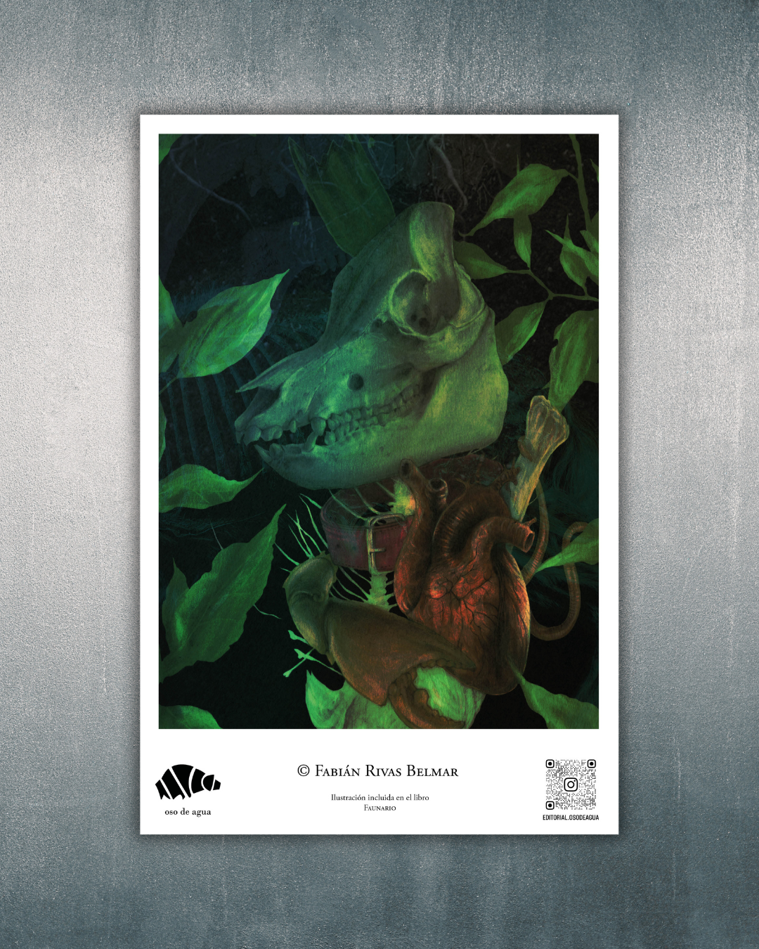 Fabián Rivas Belmar - VI