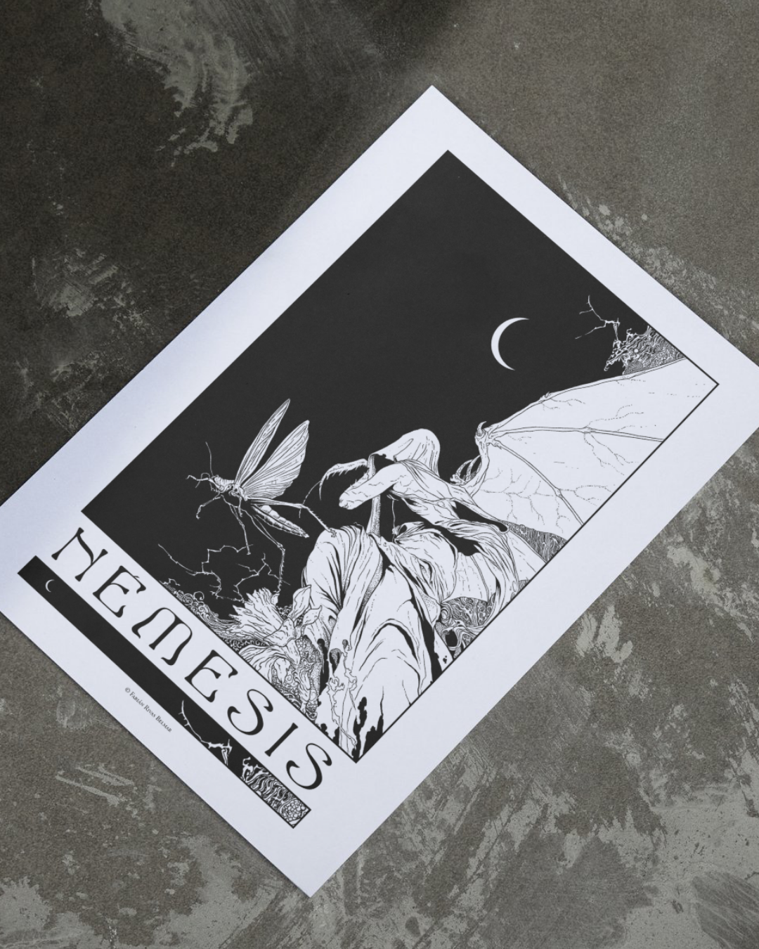 Fabián Rivas Belmar - IV