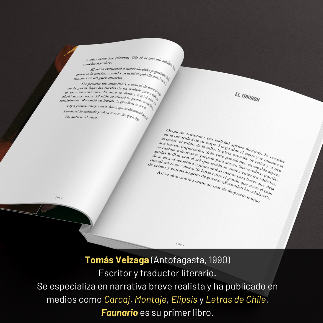 PREVENTA. Faunario - Tomás Veizaga