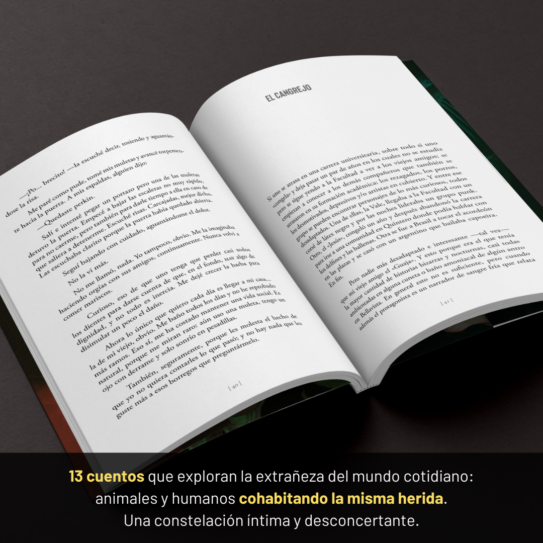 PREVENTA. Faunario - Tomás Veizaga