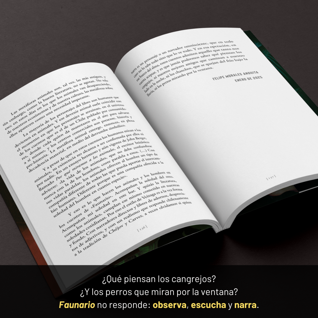 PREVENTA. Faunario - Tomás Veizaga