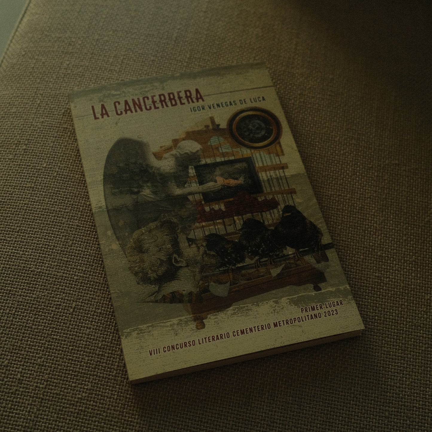 La cancerbera - Igor Venegas De Luca