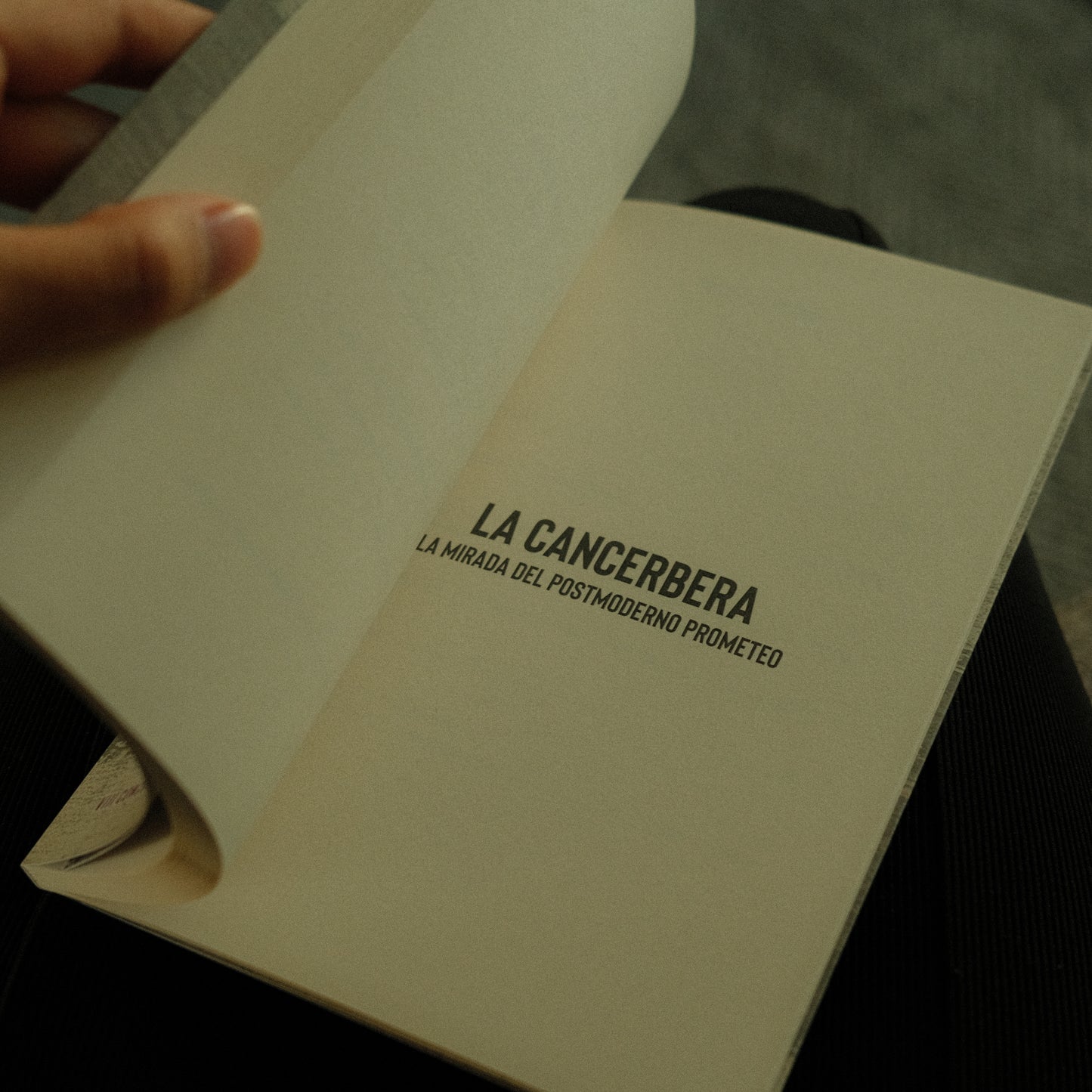 La cancerbera - Igor Venegas De Luca