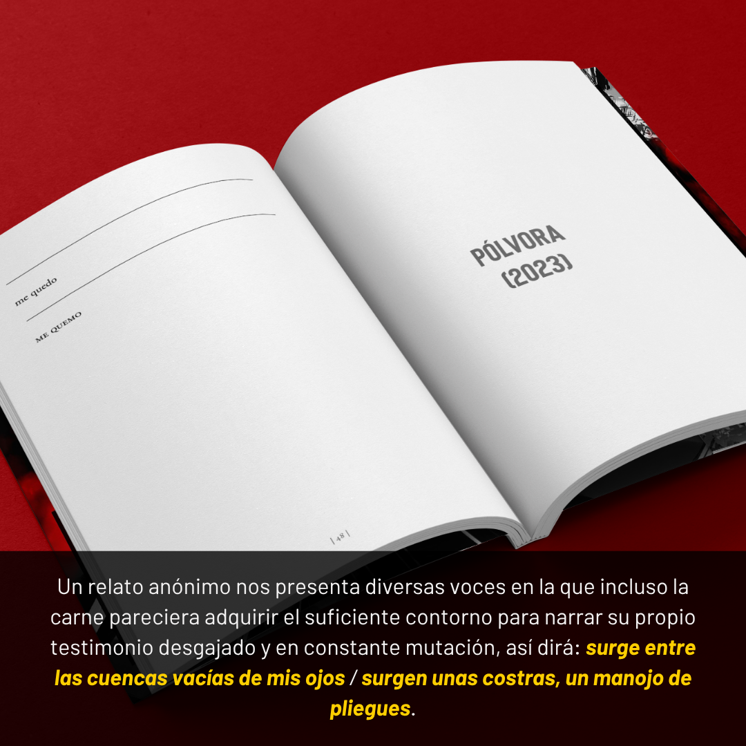 PREVENTA | HIROCHILE
